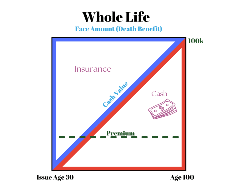 Whole life chart