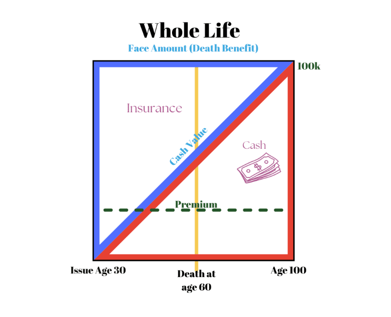 Whole life chart