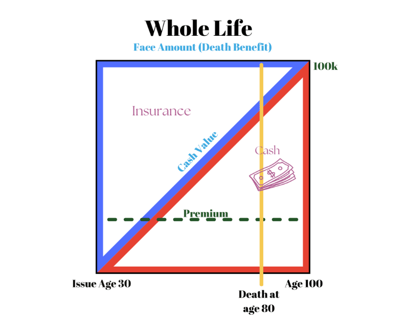 Whole life chart