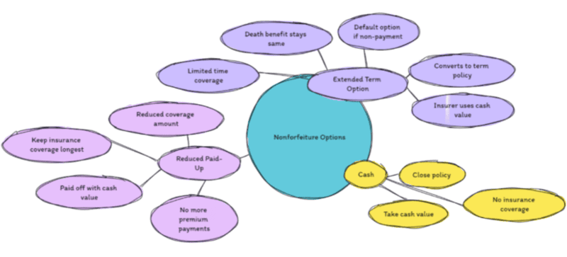 Nonforfeiture options mind map 