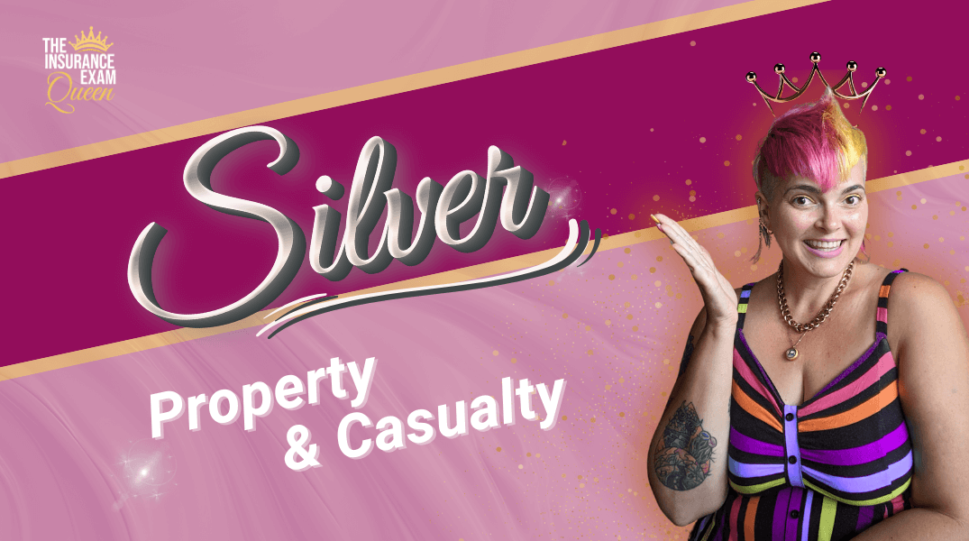 Property & Casualty Silver