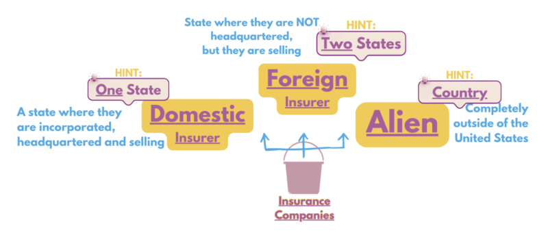 Insurance companies flowchart on domestic, foreign & alien
